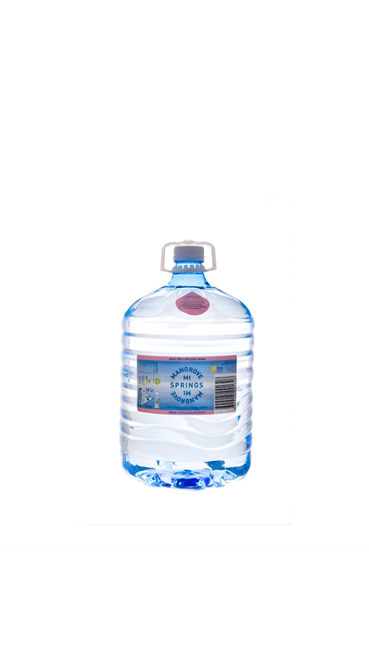10L SMART cooler-friendly spring water bottle
