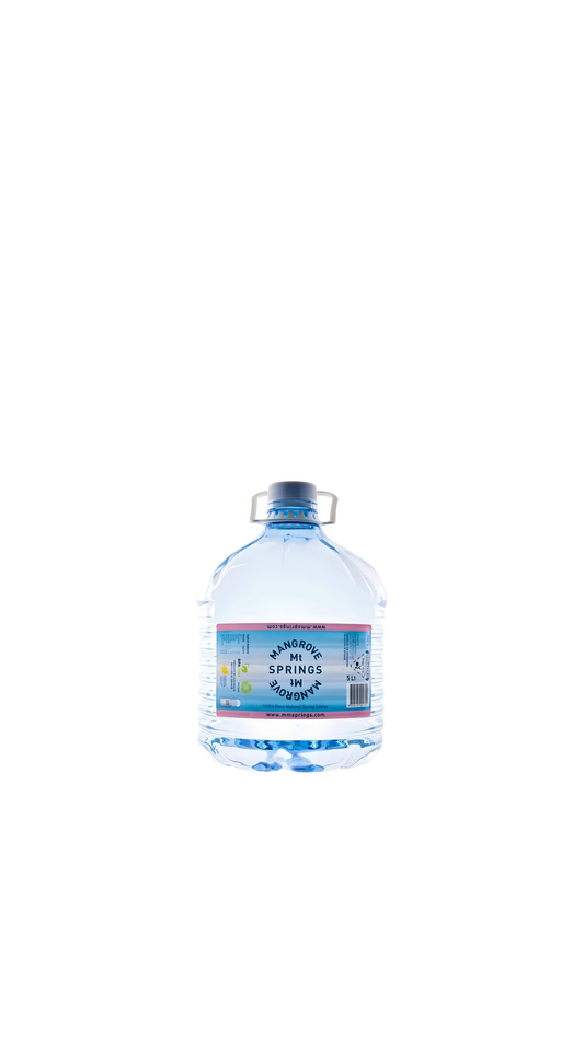 5L SMART cooler-friendly spring water bottle